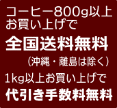 R[q[800gȏエグőS@ɑ萔