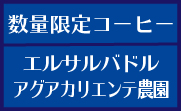 ペルー チャンチャマヨ G1