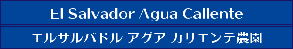 GToh AOAJGe_