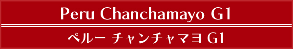 y[ ``} G1