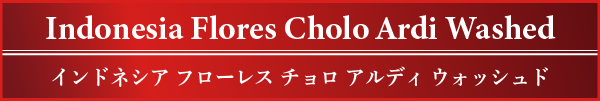 Indonesia Flores Cholo Ardi Washed �C���h�l�V�A �t���[���X �`���� �A���f�B �E�H�b�V���h