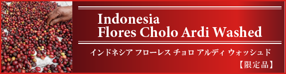 �C���h�l�V�A �t���[���X �`���� �A���f�B �E�H�b�V���h