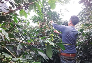 ���I�X �Q�C�V�� �E�H�b�V���h���i