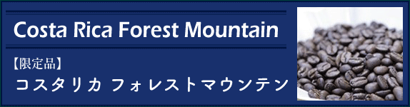 Costa Rica Forest Mountain �R�X�^���J �t�H���X�g�}�E���e��