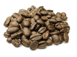 エルサルバドル SHG アデライダ農園　コーヒー豆
