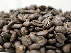 ジャワ アラビカ ジャンピット農園　コーヒー豆