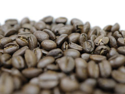 jJOA SHG L[^XEGmX L[^XEGmX